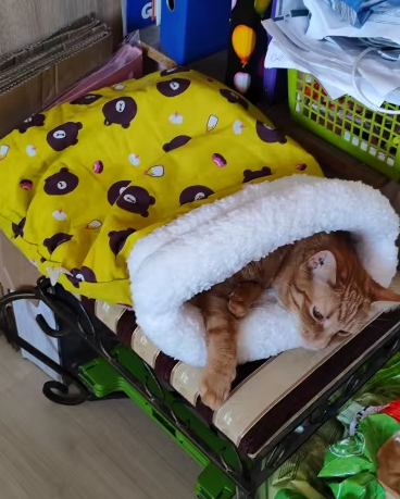 Saco para o Inverno