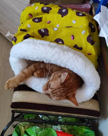 Saco para o Inverno
