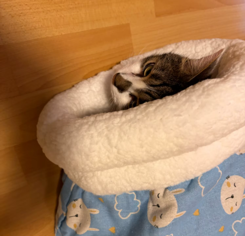 Saco para o Inverno