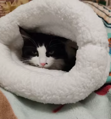 Saco para o Inverno