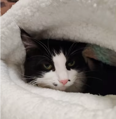 Saco para o Inverno