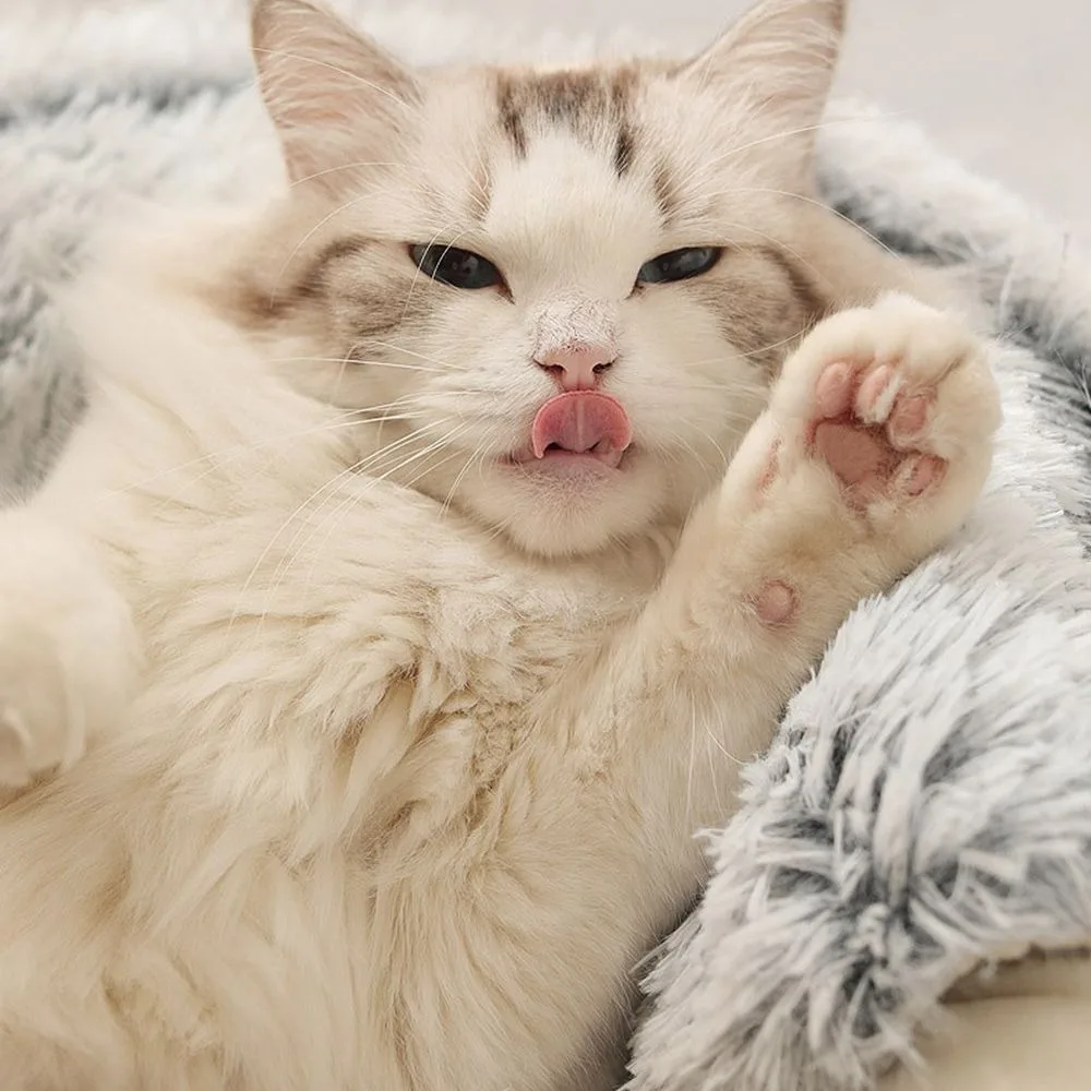 Cama para Animais