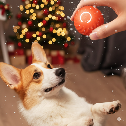 Bola Interativa Automática para Animais