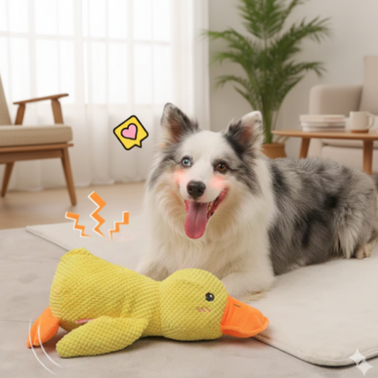 Pato de Apoio Emocional para Cães