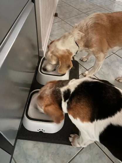 Animal drinking fountain 