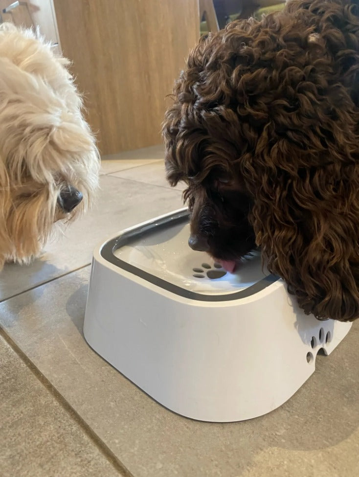 Animal drinking fountain 