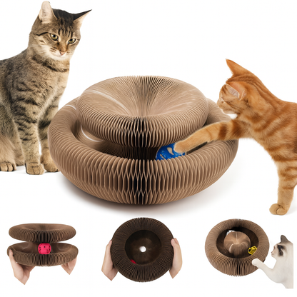 Arranhador + Bola Giratória 360º