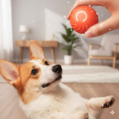 Bola Interativa Automática para Animais