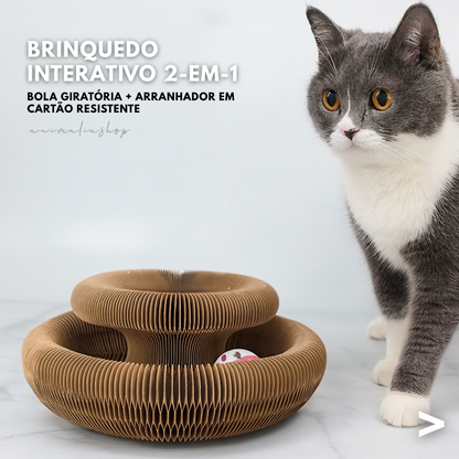 Arranhador + Bola Giratória 360º