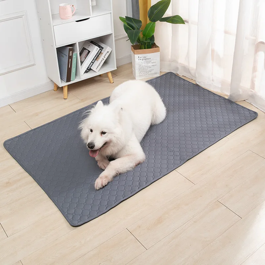 Reusable Absorbent Pet Mat