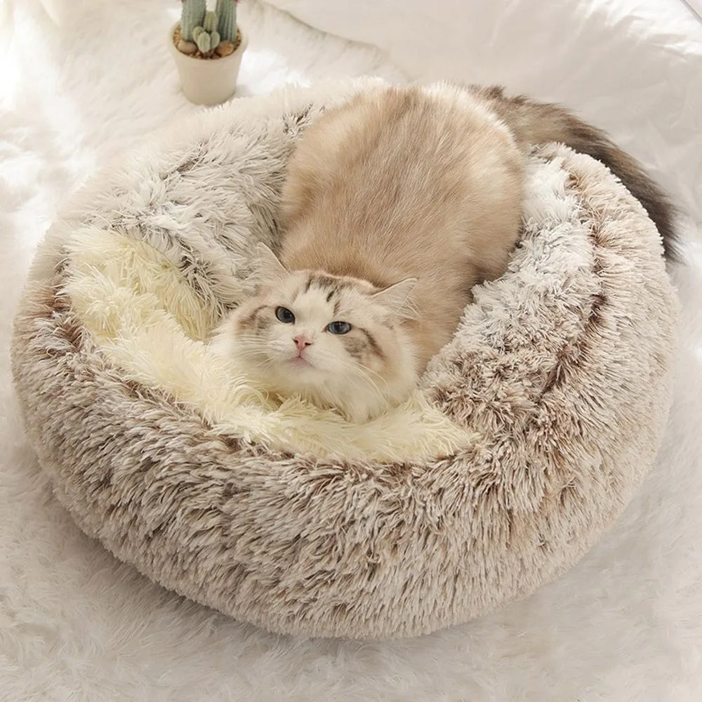 Cat bed: Orthopedic Comfort and Modern Design 