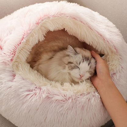 Cat bed: Orthopedic Comfort and Modern Design 