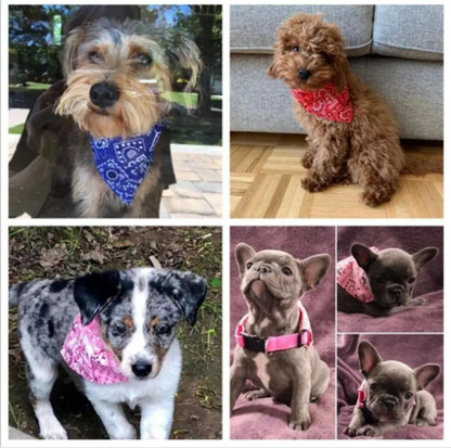 Lenço Ajustável para Animais (Bandana)