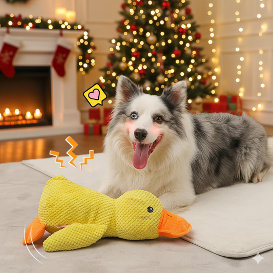 Pato de Apoio Emocional para Cães